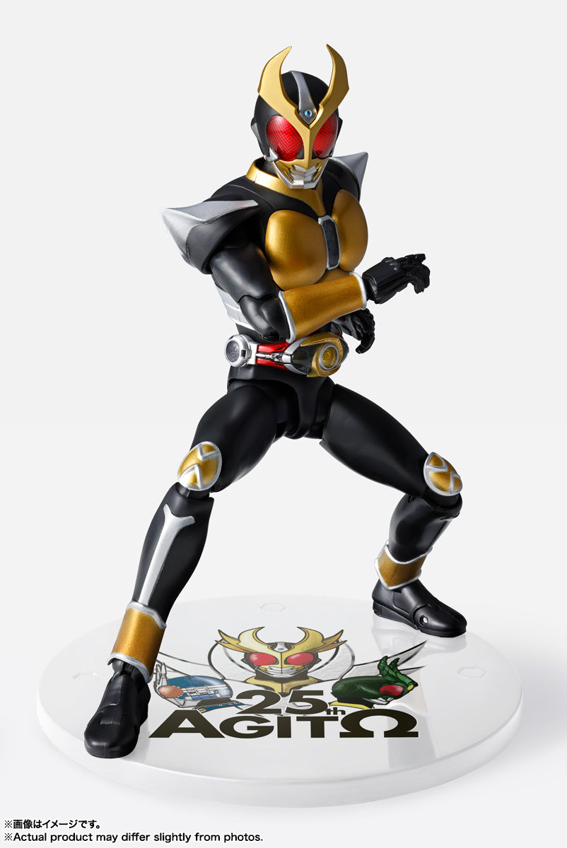 S.H.Figuarts Shinkocchou Seihou Masked Rider Agito Grand Form 25th Anniversary Ver.